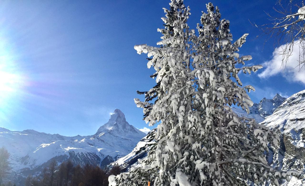 Appartement Sonnmatt à Zermatt Extérieur photo